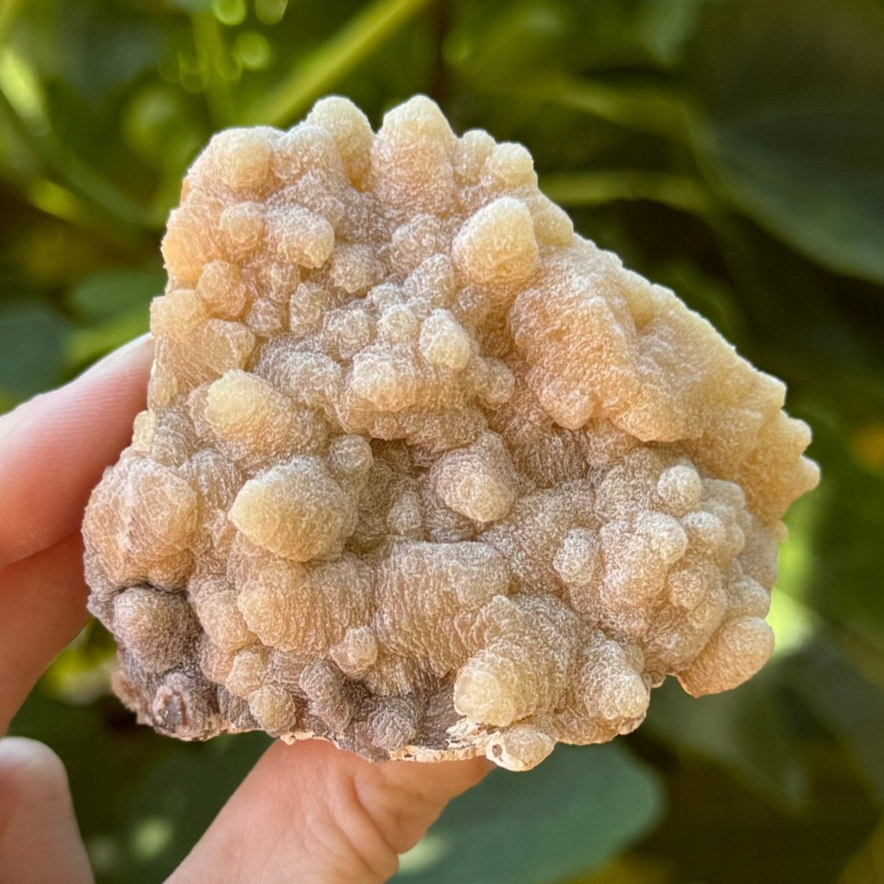 An aragonite and calcite specimen in indirect sunlight. It is a chunky triangular-shaped piece with the front covered with opaque matte rough-textured points, in a light tan color that darkens to a light brown at the base.