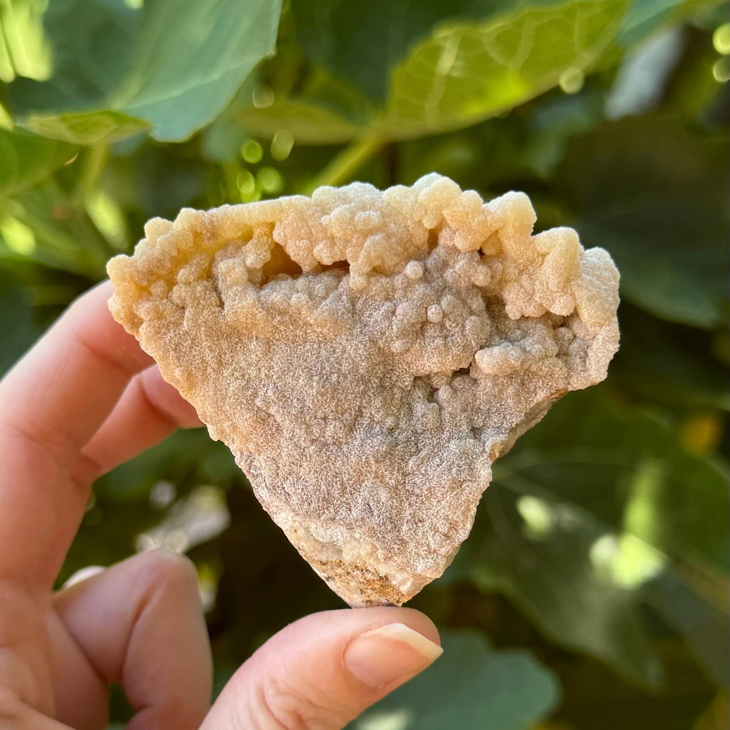 The back of the piece, shaped like a large slice of pie with a textured flat surface and botryoidal growth along the rim.