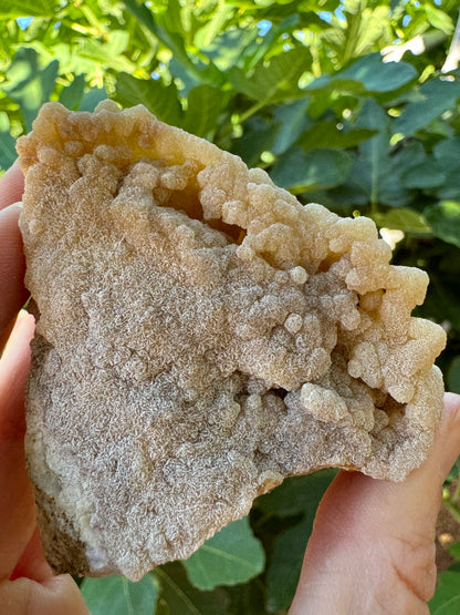 Detail of the botryoidal growth on the back, with a rim of botryoidal growth raised away from the surface. On the left edge, the spheres form a zig-zag edge.