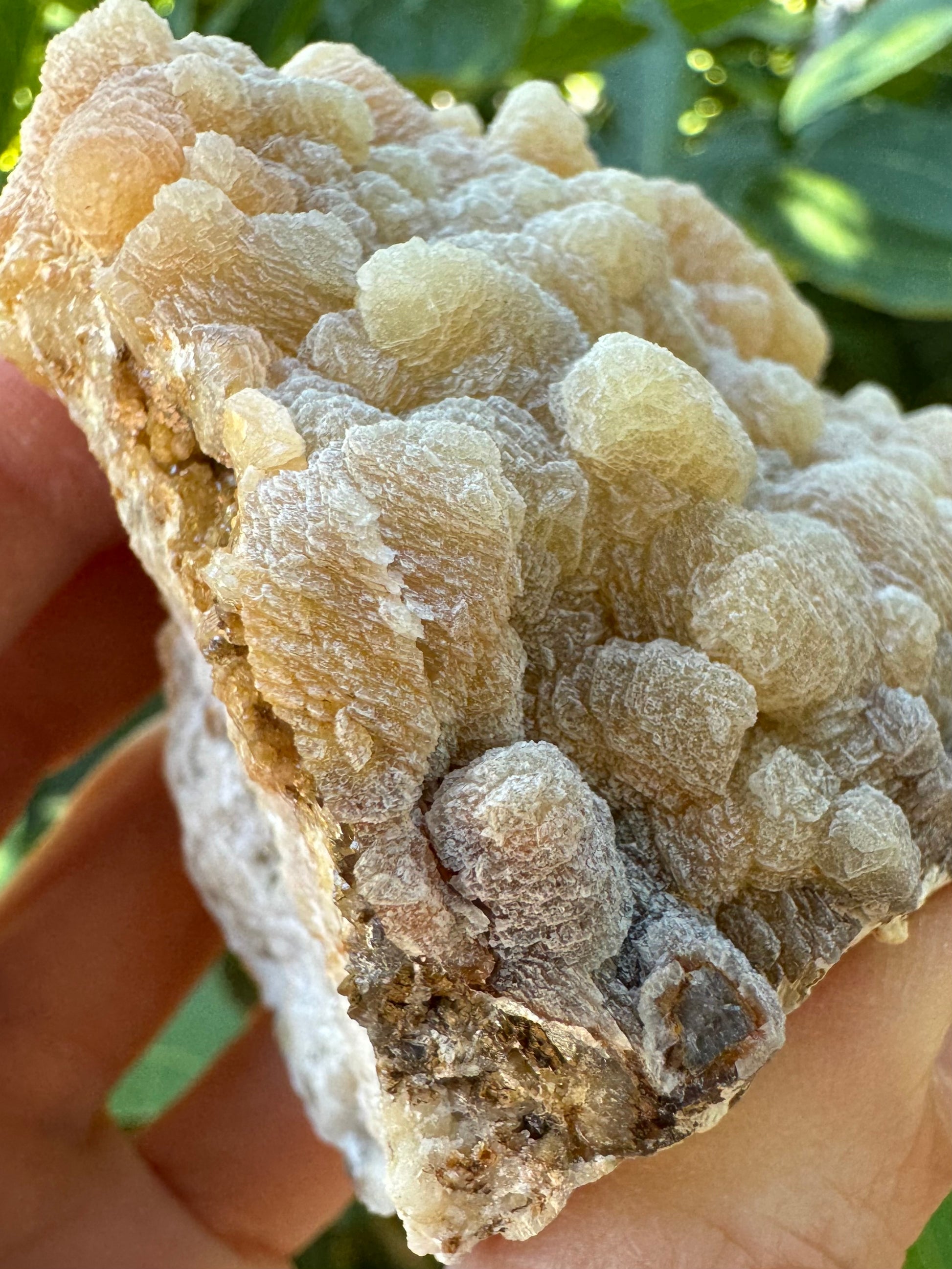 Detail of the points, with the crust appearing composed of flat platelets of growth. A broken crystal at the corner shows a triangular crystal inside a ring of brown and then light crust.