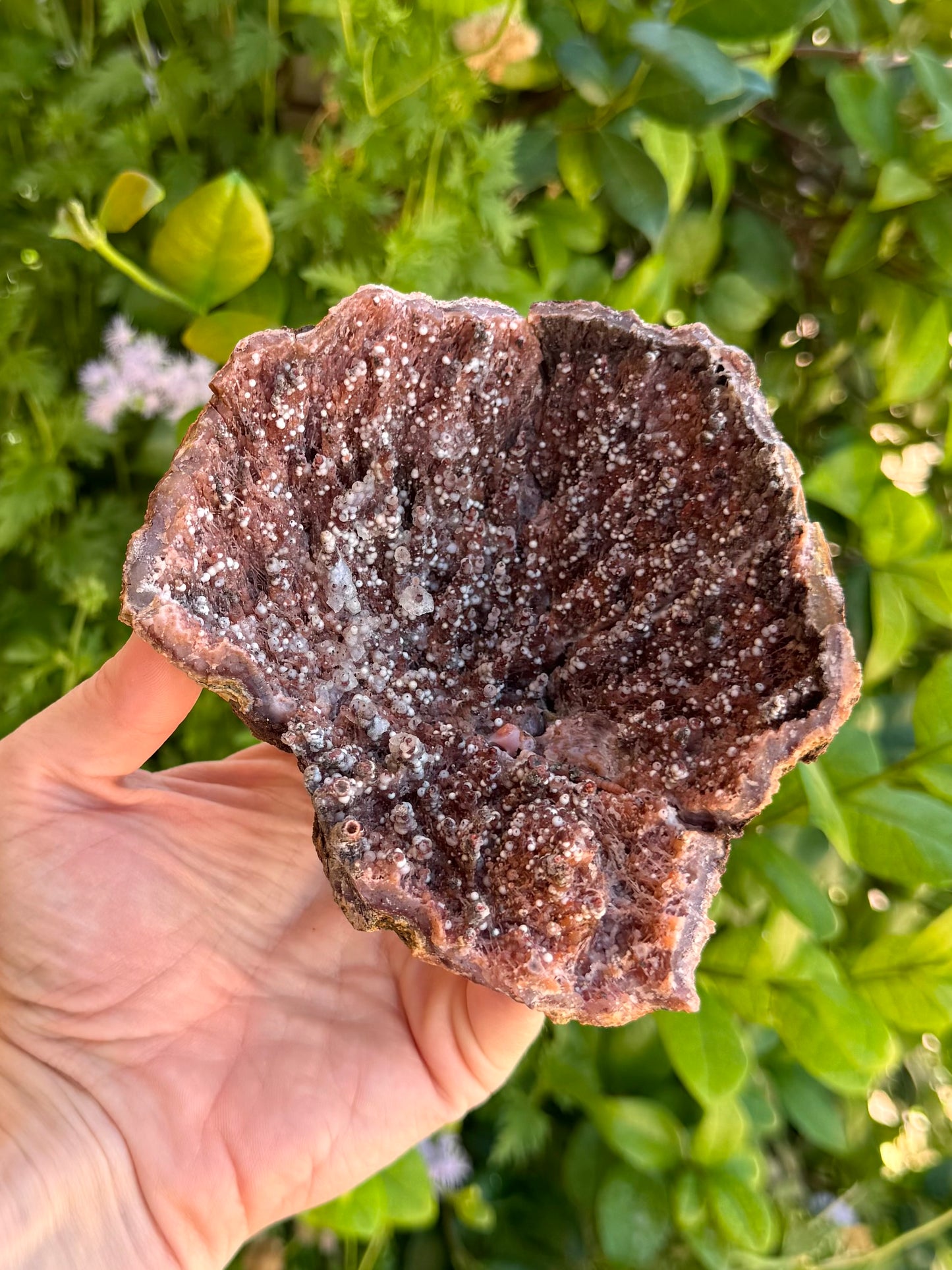 Looking into the geode, the spires cover all sides and their strong orange color is muted by brown mineral overgrowth and white spheres coating the piece.