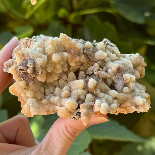 The front of the piece of aragonite and calcite, a rectangular piece covered with calcite points coated in textured aragonite of a light tan color. There is a crack across the top crust.