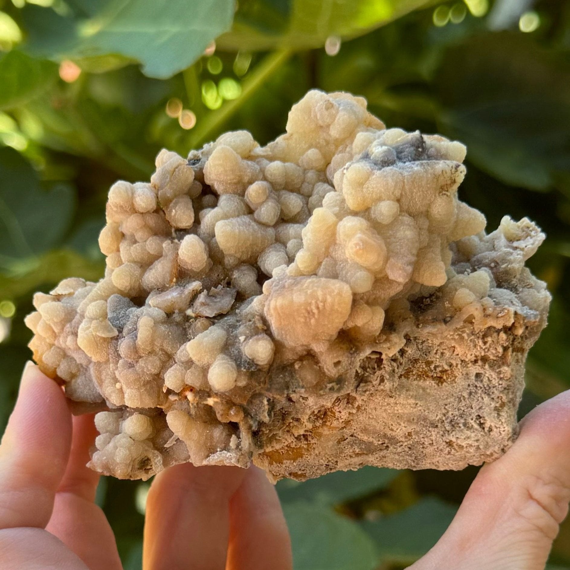 Side angle of the front of the mineral, with a larger point in the foreground. The points re on a crust-like top with porous hollow between them and the matrix.