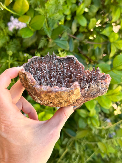 Side-view of the geode, showing the outside is a thin layer of brown rock. The far side is covered with spires poking out above the top, coated in the brown mineral.