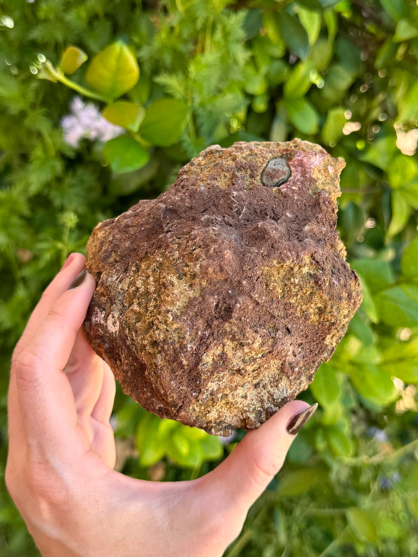 The back of the mineral, showing a rough brown rock matrix with an oval gray rock embedded near the top. There are darker brown stripes across the specimen, showing the piece has been repaired and the repairs covered.