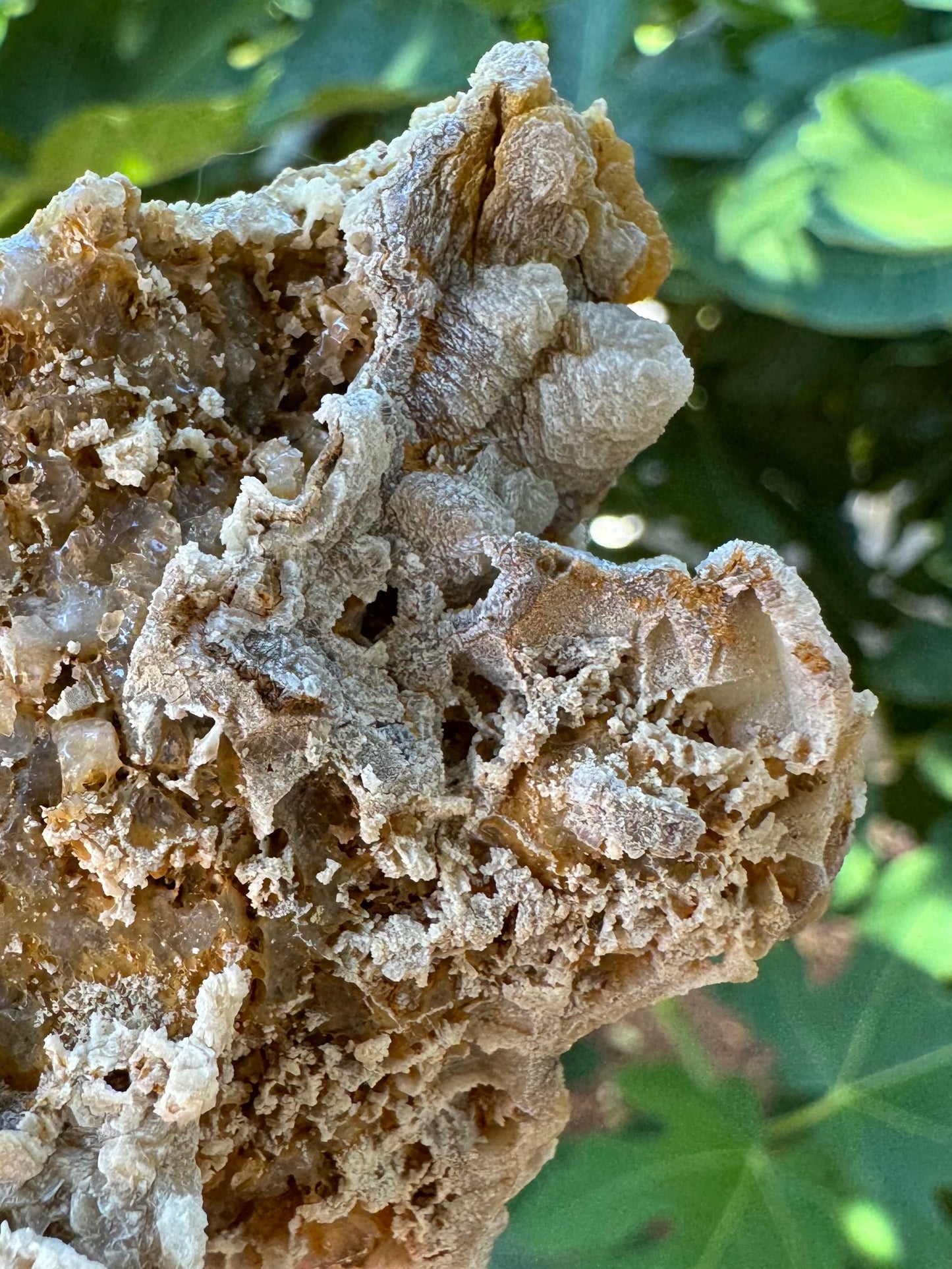 Close up of the side of the piece showing the aragonite crust layer with hollow between it and the matrix