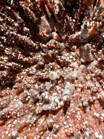 Close view looking down the spires, a saturated red-orange covered in white spheres and colorless quartz forming rings like tutus on some spires.