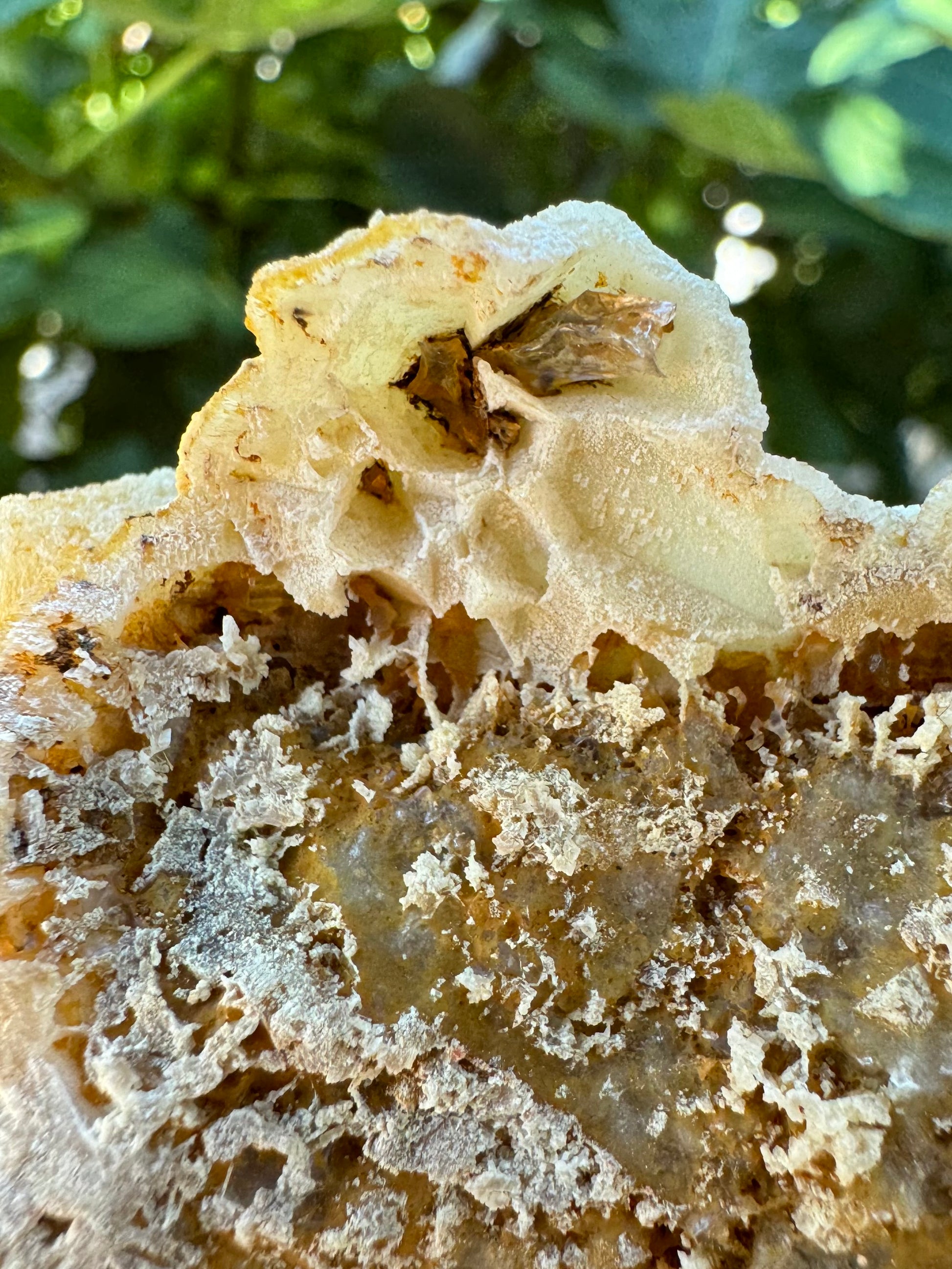 Close up of aragonite crust with an irregular shiny crystal stuck in it