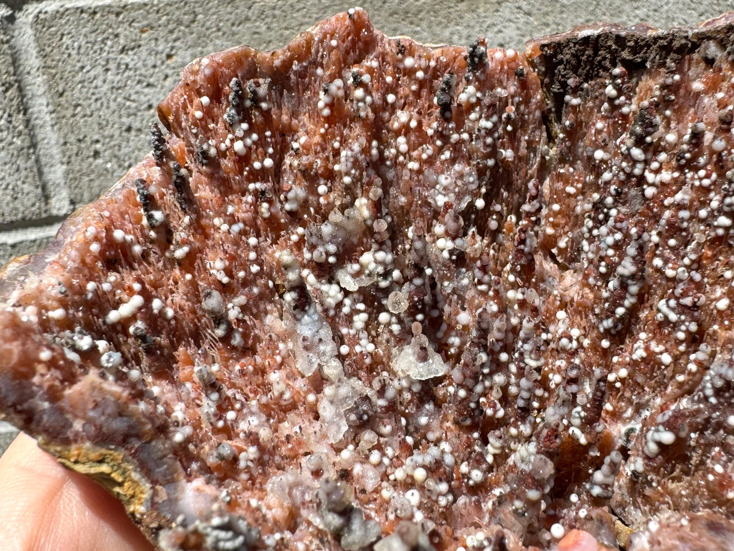 Detail of a side with a lot of orange needles and spires, with the crystals with ring-like quartz at center. Some of the white spheres appear opaque white with glittering surfaces, others are a translucent colorless, and others have a white core with a colorless layer over.