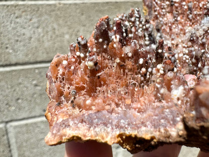 Detail of an edge of the geode, with fine needle-like growth in orange. Some of the needles are curved, and some have miniature scepter growth forms.