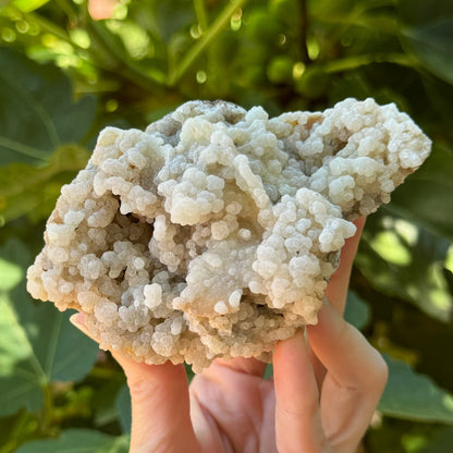 Another angle of the top of the specimen, covered with white botryoidal mineral growth.