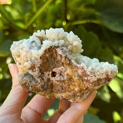 A side of the specimen with a brown matrix exposed with a white crust of the botryoidal aragonite on it. There are small spots of green mineral near the bottom.