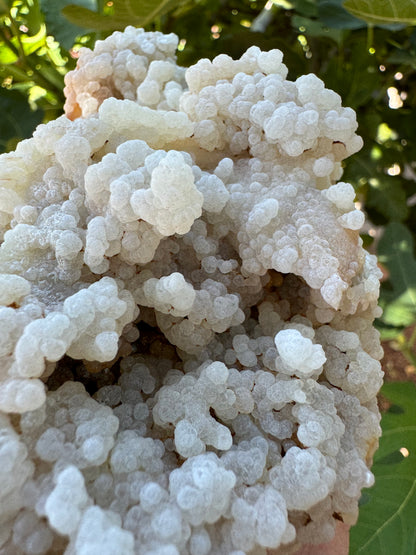 Detail of slightly translucent white botryoidal growth, with cave-like holes between layers.