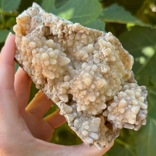 A large piece of aragonite and calcite in indirect sunlight. it is an off-rectangular shape with bumps and valleys on the surface. The front covered with opaque matte rough-textured points, in a pale tan color.