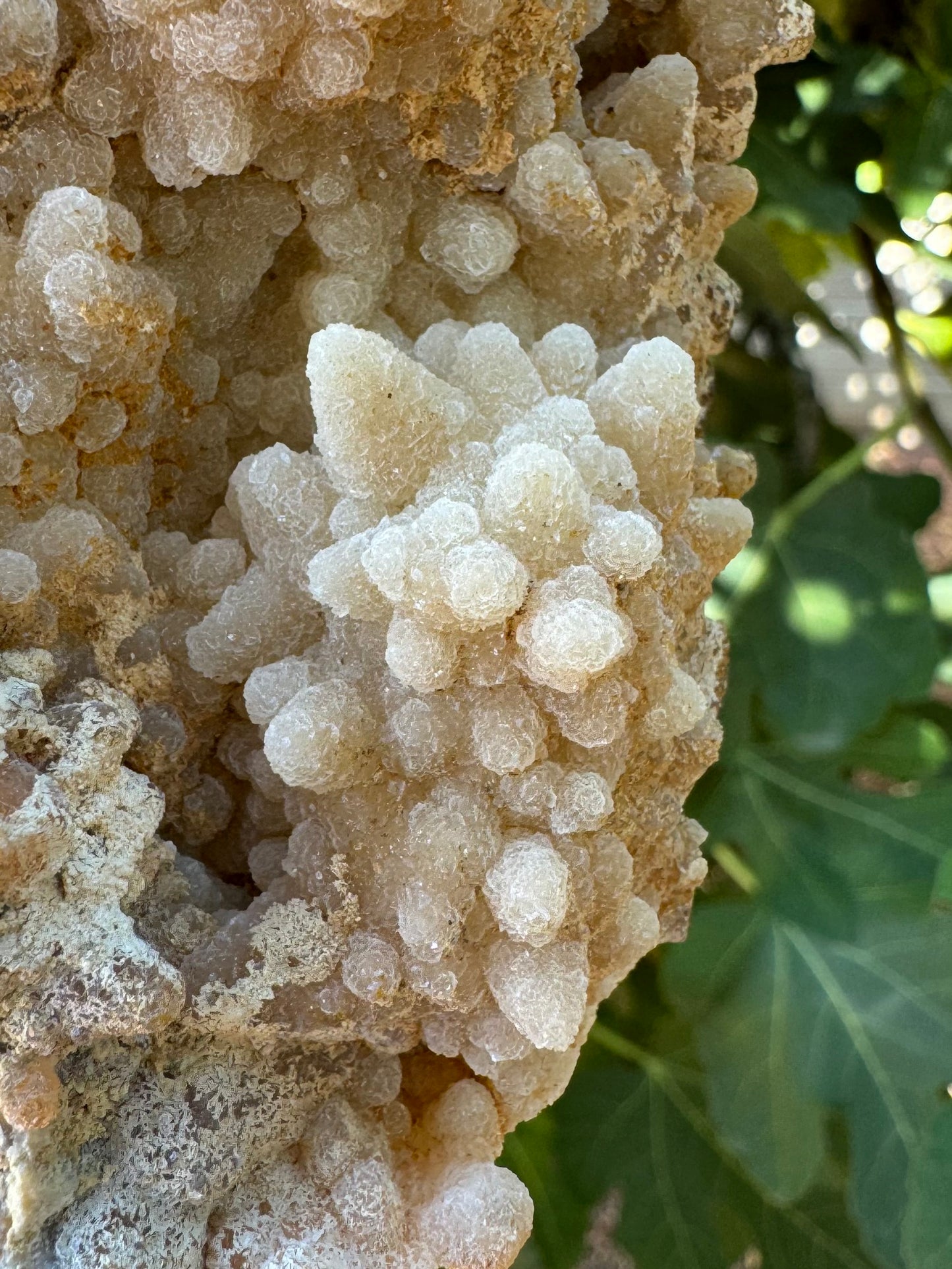 Detail of a round cluster of points, with the crust coating the points appearing composed of flat platelets of growth.