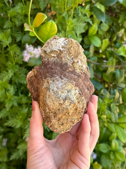 The base of the specimen, conical but flat instead of pointed at the base. The darker line of the repaired crack is visible ringing the geode.