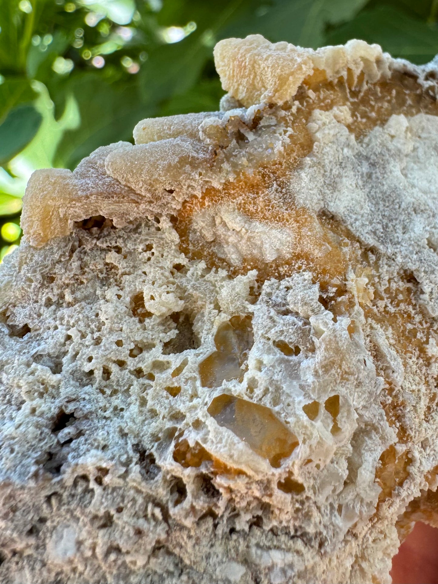 Detail of the crusty structure of the back, with pockets of glossy crystal in honeycomb growth. At the top, the points are visible and there is hollow under the edges of the crust where the points begin.