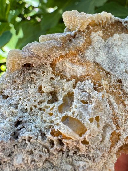 Detail of the crusty structure of the back, with pockets of glossy crystal in honeycomb growth. At the top, the points are visible and there is hollow under the edges of the crust where the points begin.