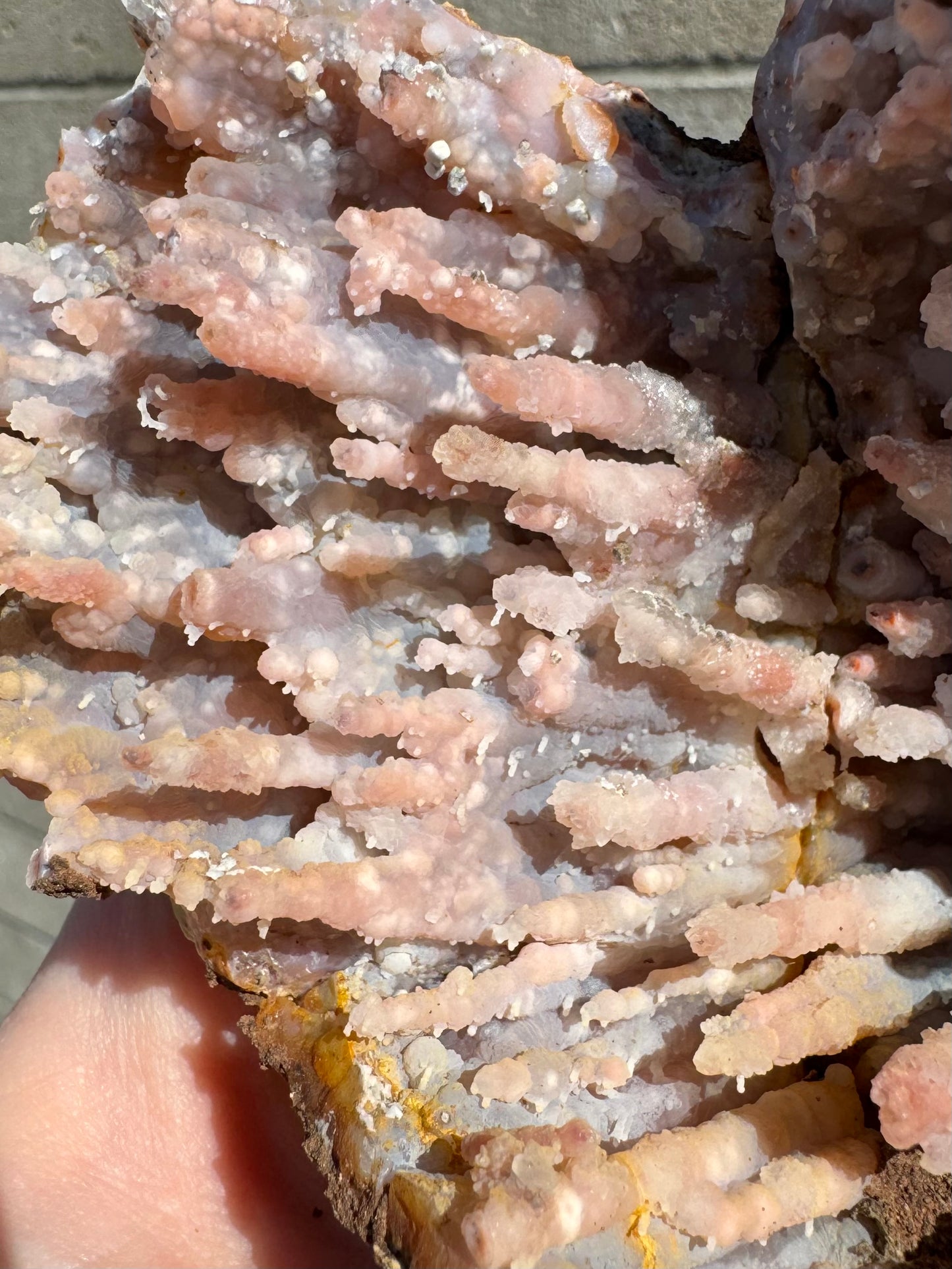 Detail of a section of light orange spires with fine white needle-like stalactites growing down off of them. A crack is visible through the piece.