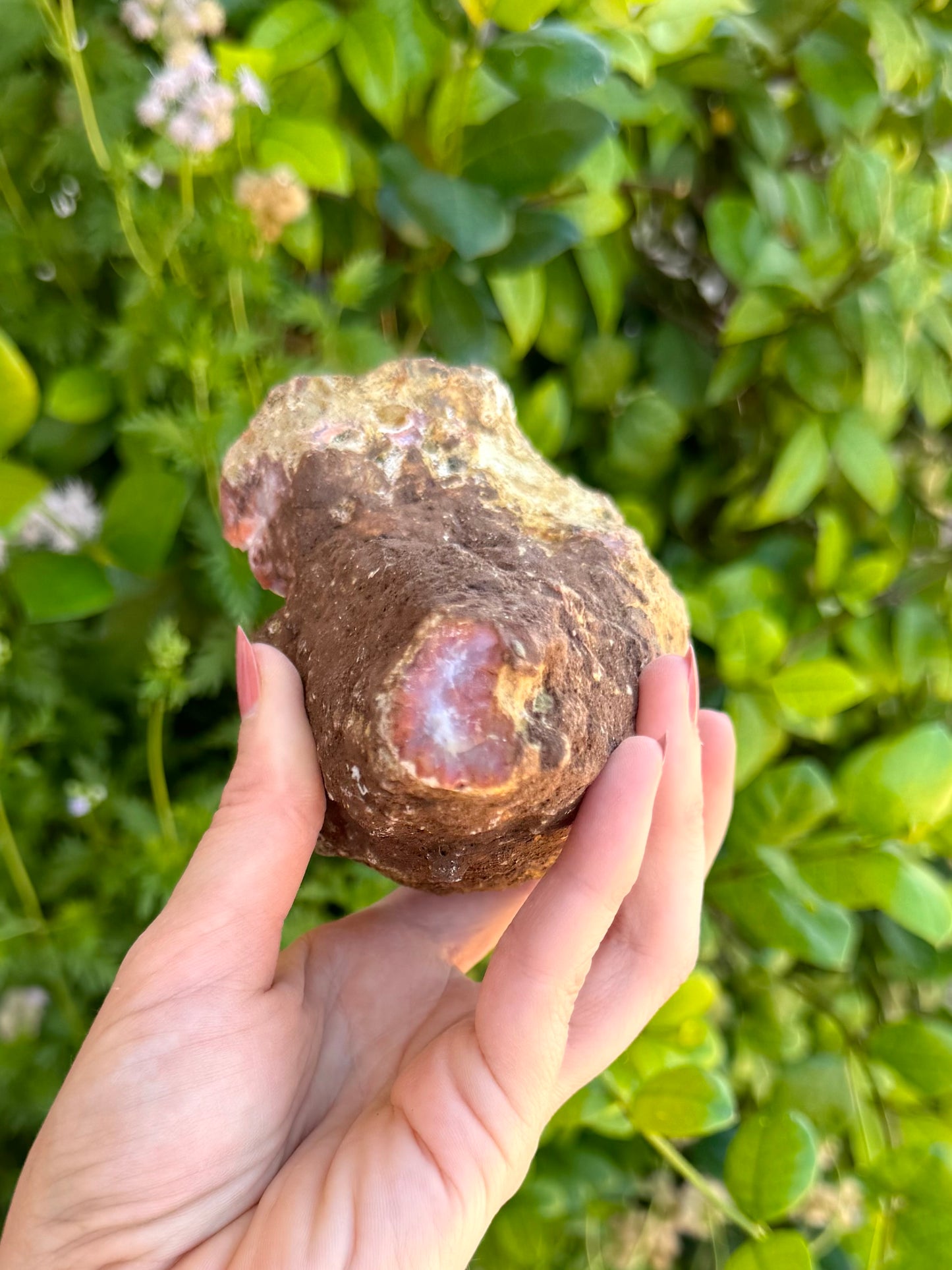 The bottom tip of the geode, the brown rock surface chipped off revealing a white core and ring of orange chalcedony.