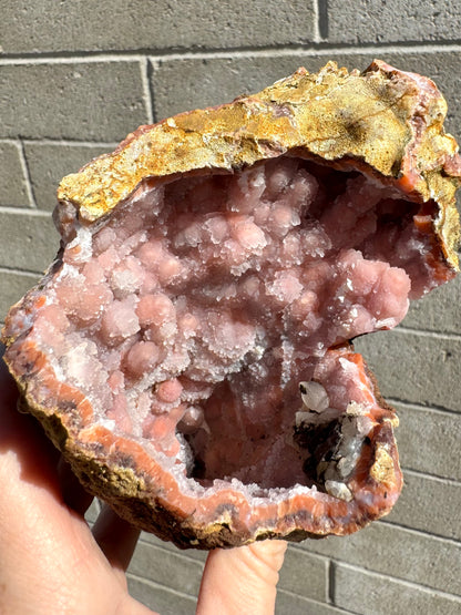 The specimen in full sun, showing milky white quartz crystals across the surface like druzy.