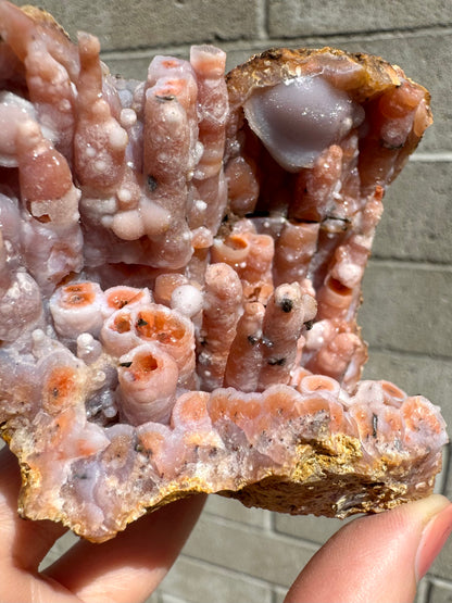 Detail of the white radial quartz growth, which has a bit of a rim like a UFO. In the foreground the broken edge shows layers of growth with a dark metallic point at the center ringed by orange and white.