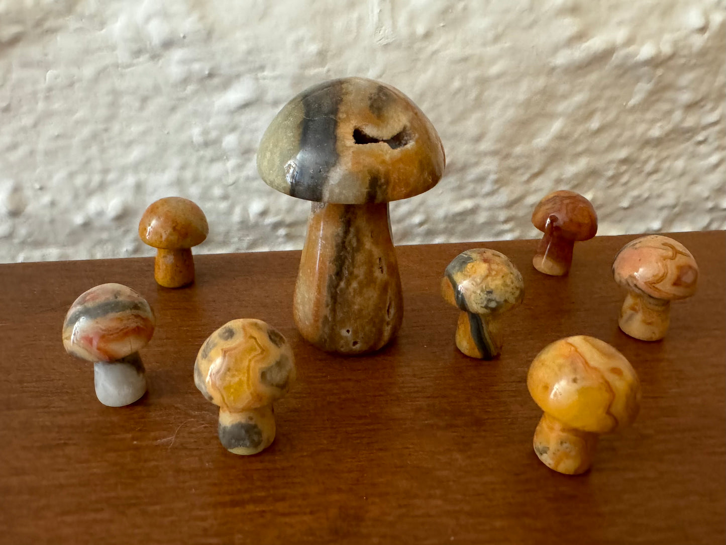 Set of one large and seven small yellow agate mushrooms randomly arranged, showing the main cavity in the cap of the largest mushroom