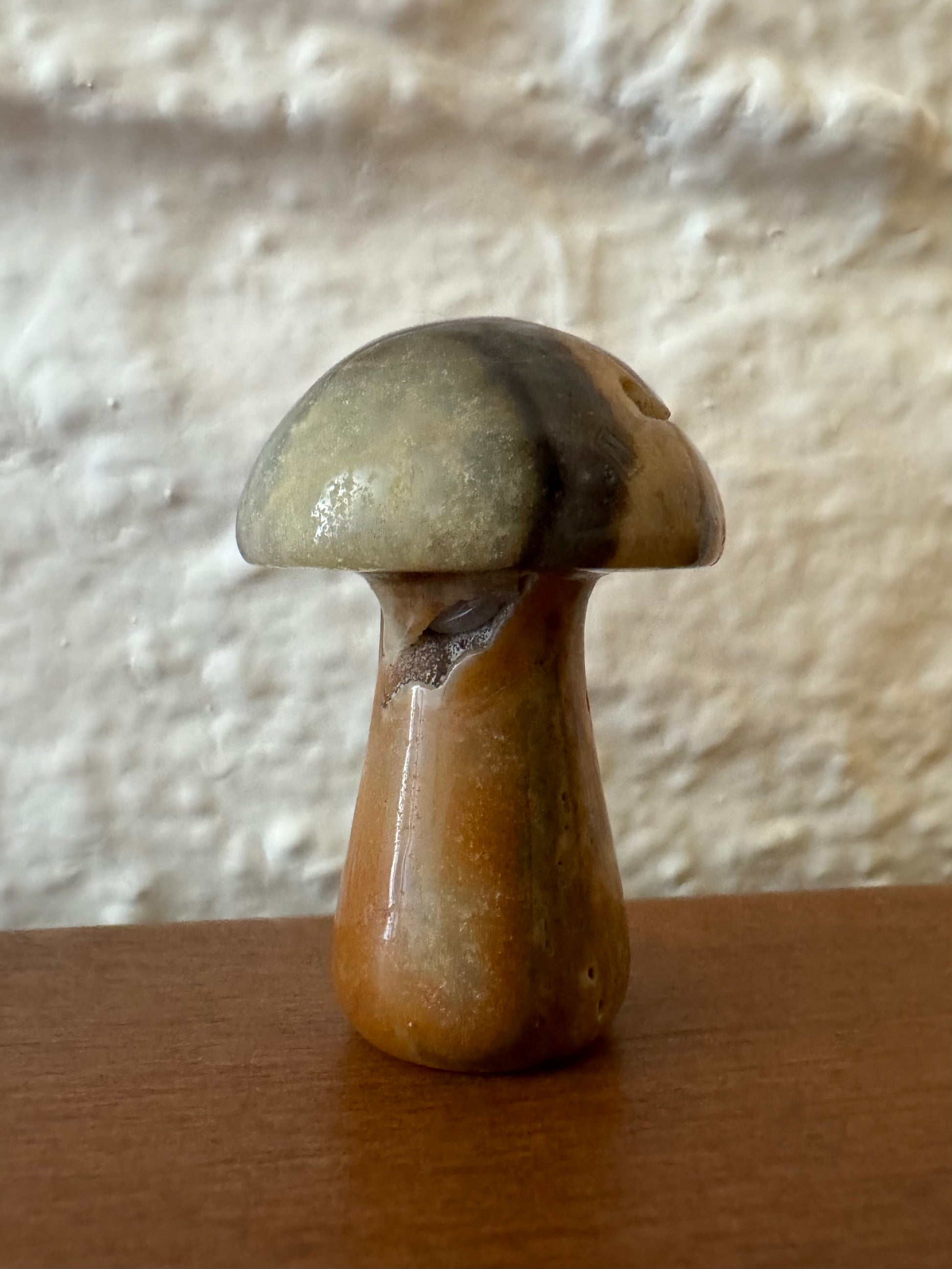 The largest mushroom alone, showing the vein under the cap continues down the side and as more rice-like crystals in it. Yellow-brown color with stripes of white, yellow, and darker brown