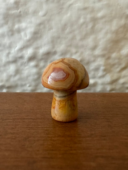 Small mushroom 2, nice red-yellow agate banding