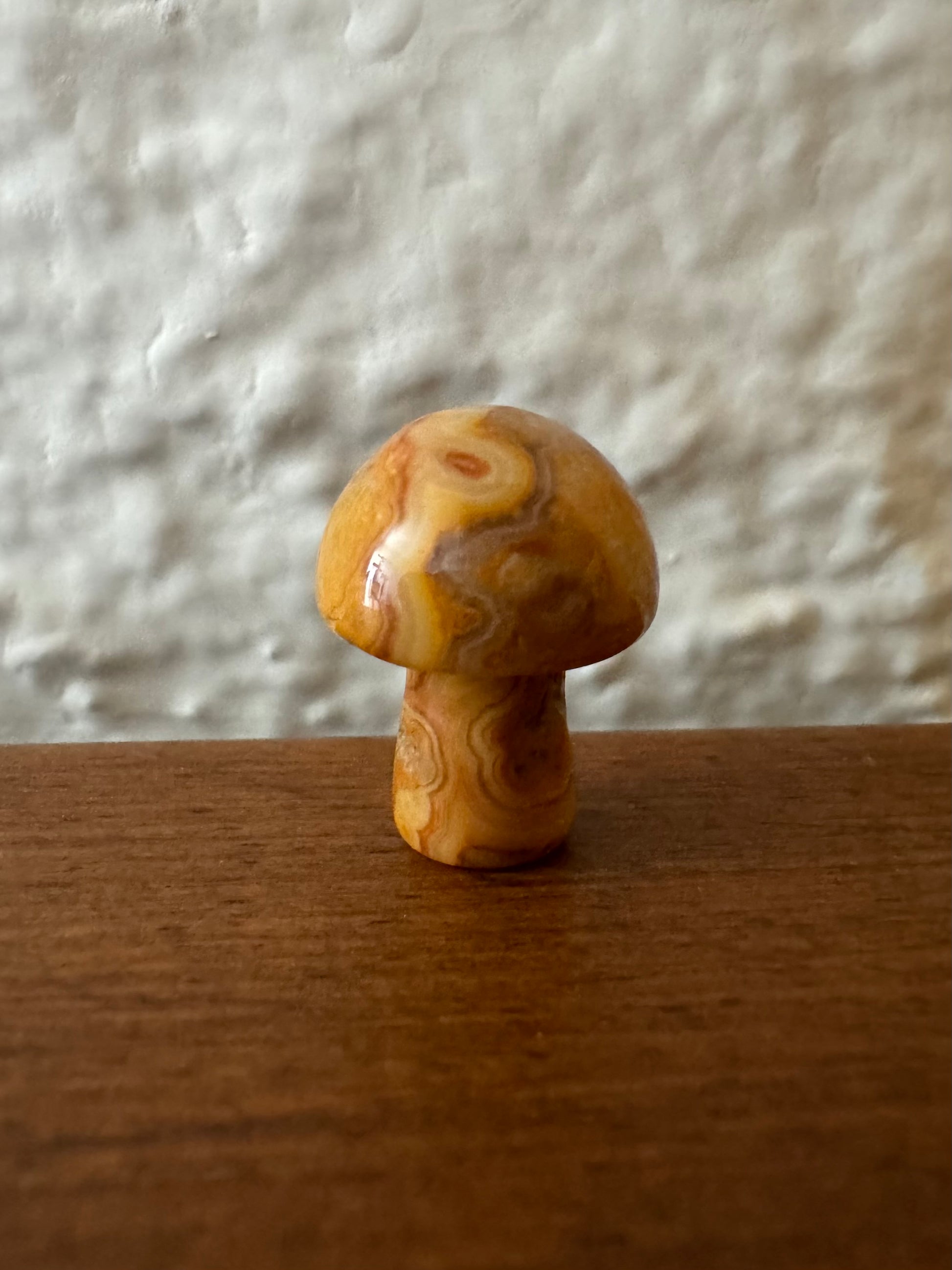 Small mushroom 4, vibrant golden yellow with reddish and brownish banding