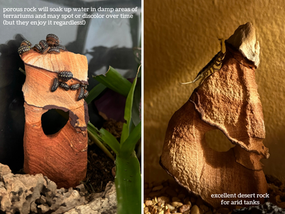 Two images of different sandstone arches in terrariums. The left one is in a wet tank with plants and the bottom half of the arch is saturated with water. It has grown dark spots. The top is covered in isopods. The image is captioned "porous rock will soak up water in damp areas of terrariums and may spot or discolor over time (but they enjoy it regardless!)" On the right side, a sandstone arch in an arid tank with a large porcellio isopod climbing it, captioned "excellent desert rock for arid tanks"