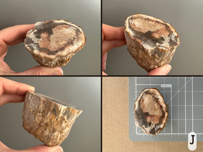 Option J, four views of an oval slice with a smoke-like dark gray ring on a light background mottled with red-brown coloration. The piece has a rough wood pattern on the sides. The final image shows it sitting on a measuring mat, a bit over two and a half inches by almost two inches across.