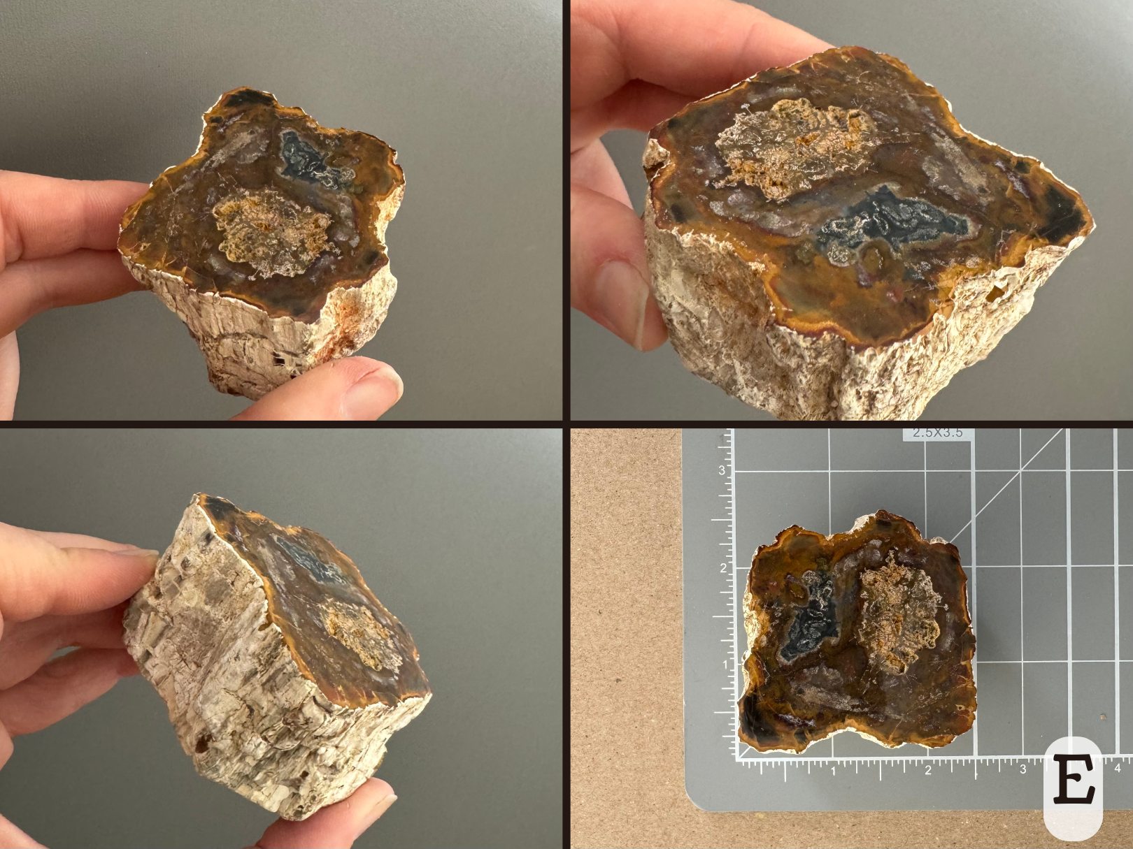 Option E, four views of an off-square slice with complex pattern of yellow brown swirled with red and yellows, with a light patch on one side and a smaller dark patch on the other side. It has rough wood pattern on the sides. The final image shows it sitting on a measuring mat, a bit over two inches.