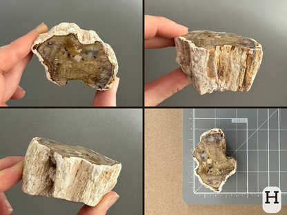 Option H, four views of an irregular slice of light yellow-brown color with detailed patterning in lighter and darker brown. The slice has linear wood pattern on the sides. The final image shows it sitting on a measuring mat, measuring almost two and a half by one and a half inches.