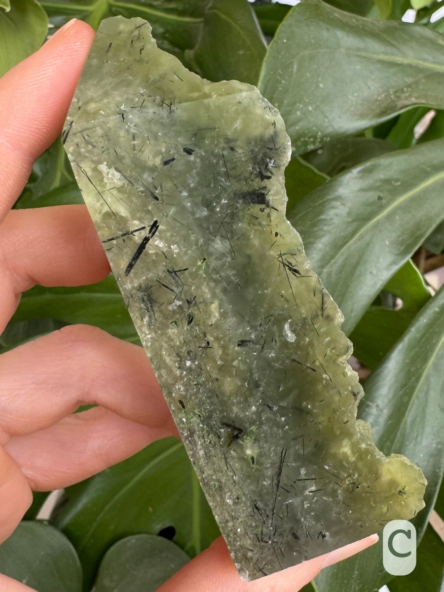 Option C, a darker green translucent prehnite with wispy white inclusions and dark needles of epidote, four-sided tower with one side left raw.