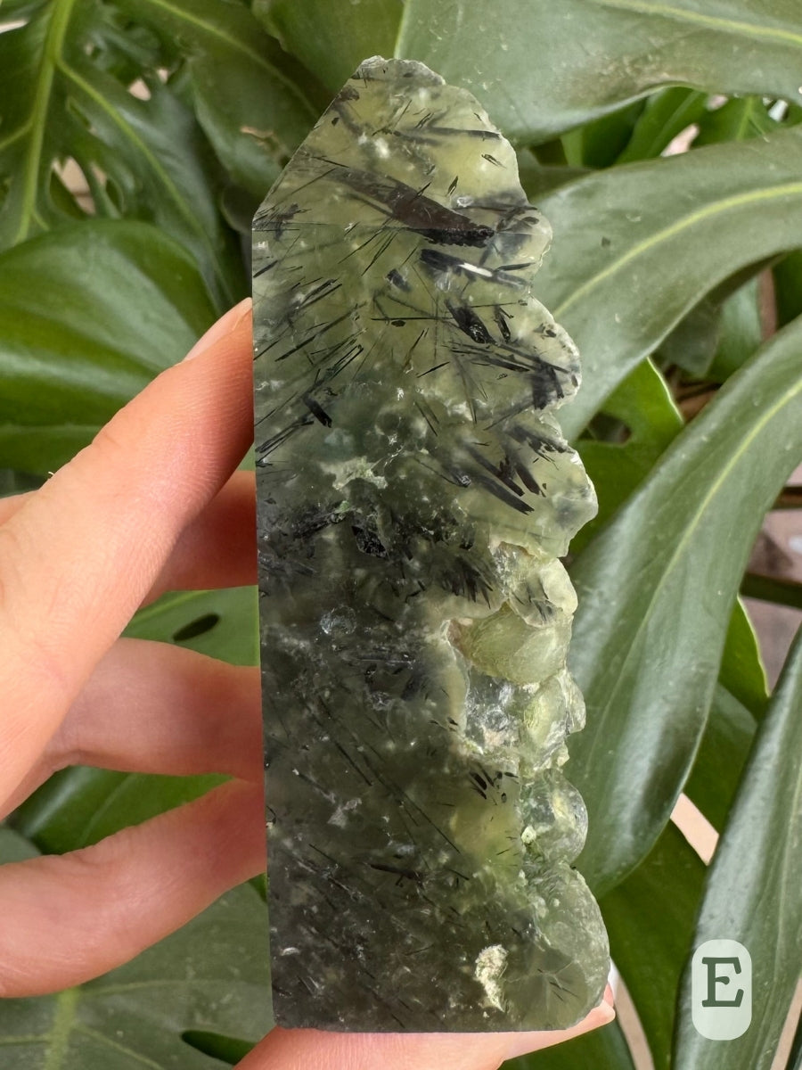 Option E, a four-sided tower with dark green color and mottled white inclusions, and dark needles through it. The left side is raw botryoidal prehnite.