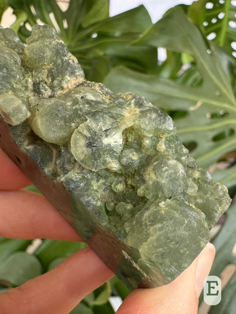 Detail of the base of the rough side, with a large spherical formation at the base, and a broken crystal revealing some radial growth.