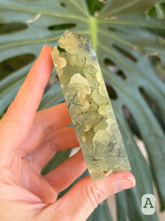 Option A, closer view of the full front with the open cavity winding through spherical growth, with part of the tip and base open.