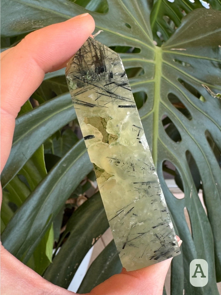 Option A, another side of the piece, with the tip heavy with dark epidote needles. The right edge is abraded.