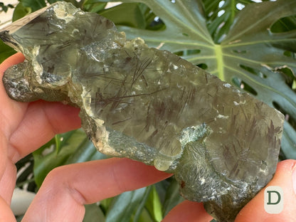 Option D, detail of good epidote needles in the polished side and the unpolished botryoidal growth, striated spheres as if composed of blades of crystal.