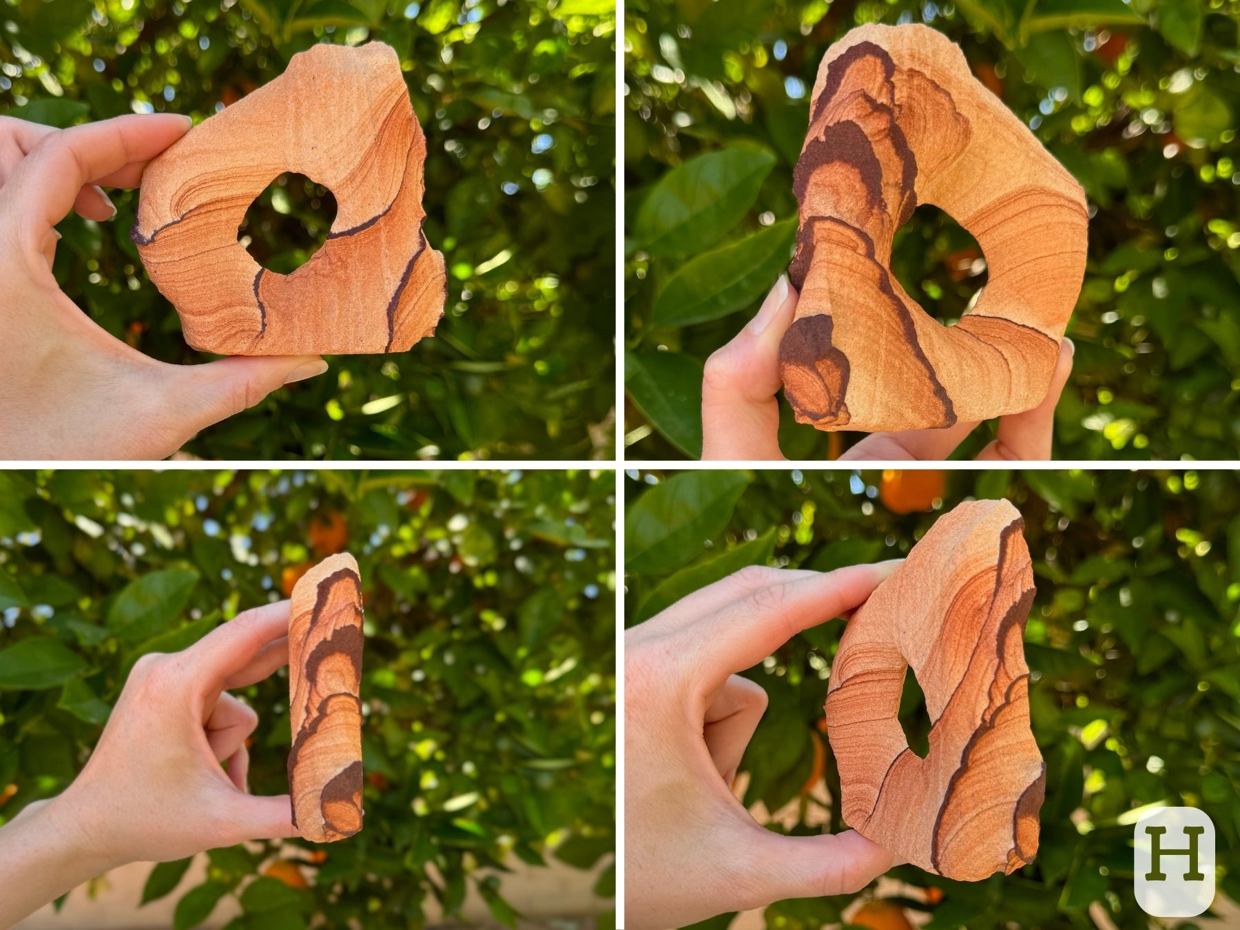 Option H, four views of a narrow off-square shaped sandstone arch with a squared round hole in the center. The piece has good wavy layers and dark banding on one side, and dark scalloped patterning along one edge.