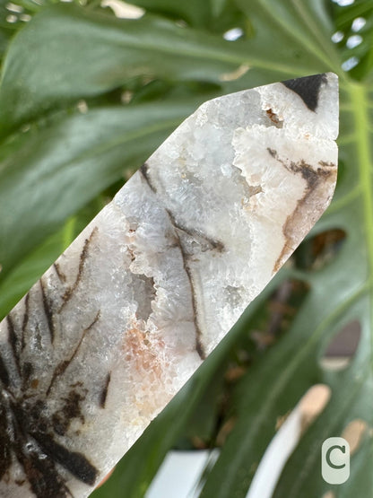 Option C, detail of the top of the point, showing the crystalline pattern of the quartz druzy in cross-section.