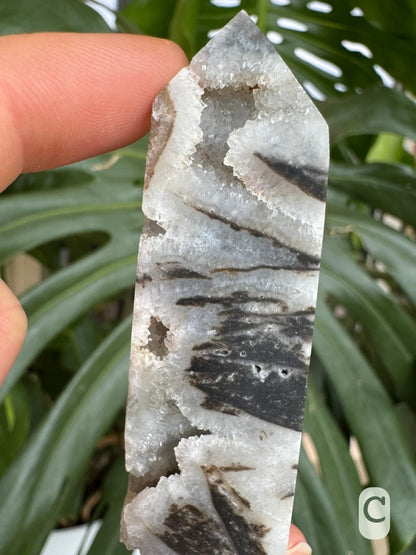 Option C, detail of the top portion of a four-sided tower, made of matte, semi-translucent chalcedony with dark brown veining. The piece has excellent chunky druzy, with individual crystals visible in cross-section.