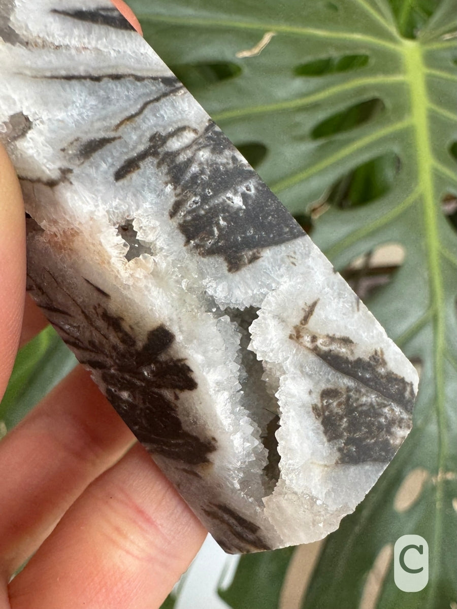 Option C, detail of a cavity at the base of the specimen, lined with druzy.