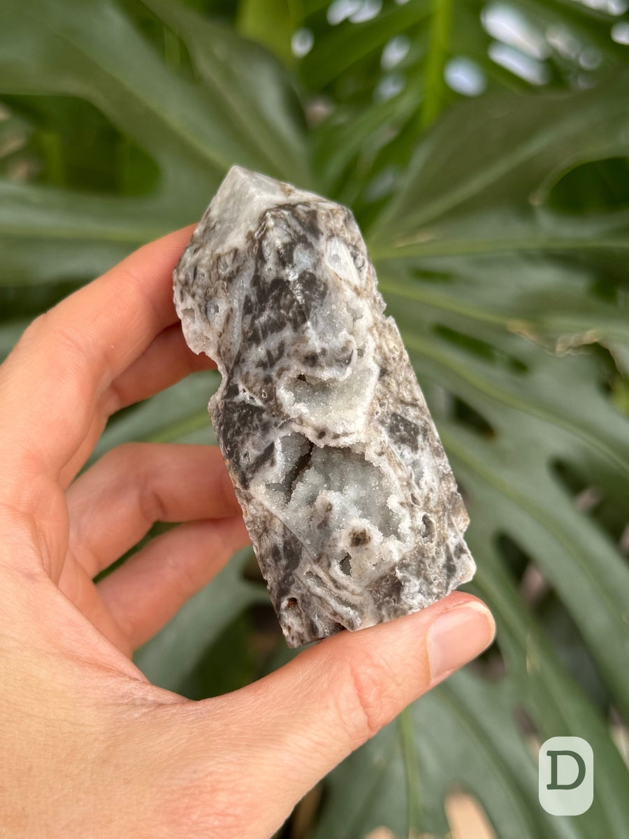 Option D, an angled view of the piece showing two sides, with large druzy-lined cavities crossing the corner. There is some dark gray mottling on these sides.