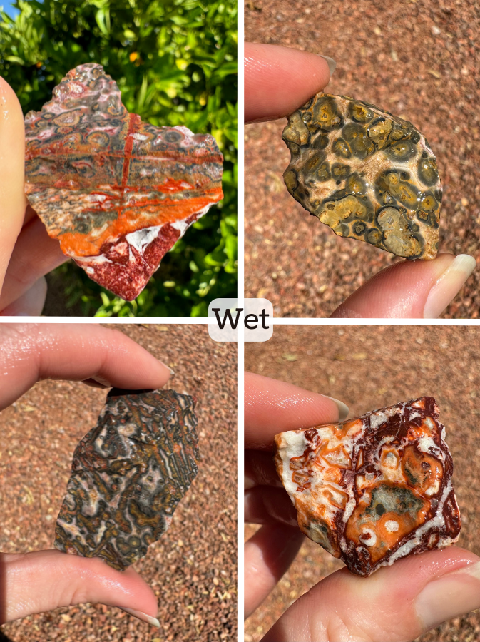 Labeled "wet," four examples of what pieces of the rough look like when wet, with pattern more vivid red, orange, and yellow.