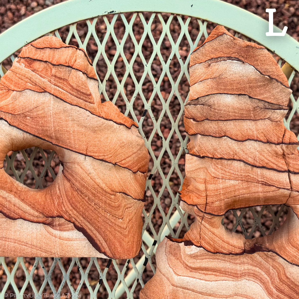 Several large craggy pieces of orange-red sandstone with flat bottoms and a hole through the middle, spread over a light green tabletop, with similarly red-colored gravel under them. There are thin dark brown bands running through the sandstone. An L in the corner indicates this is the large size.
