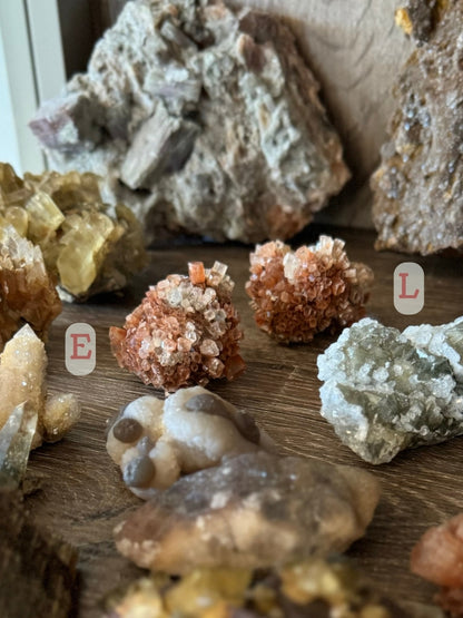 Two small bicolor sputnik aragonites on a mineral shelf, showing their vibrant red-brown color and relative size. The one on the left is labeled 'E' and the one on the right 'L'