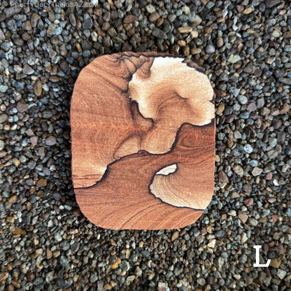 Option L, a slab that is different from the rest in shape and color. The shape is a squat rectangle with rounded corners, the edge slightly wiggly and left rough in a rustic style. The piece is a deeper brown color with less orange-red tint compared to the rest, but has an interesting irregular pattern of dark iron banding through it, outlining a light patch of sandstone shaped like a mushroom. Subtle layering curves through the deeper brown sandstone.