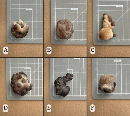 Scale images of options A–F on a measuring mat. Measurements are in the full description.